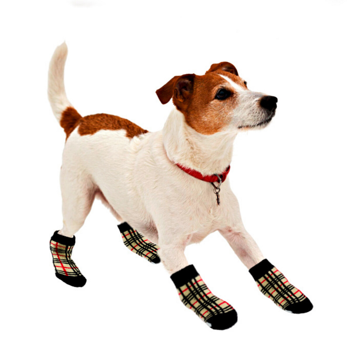 Ponožky pro psy \