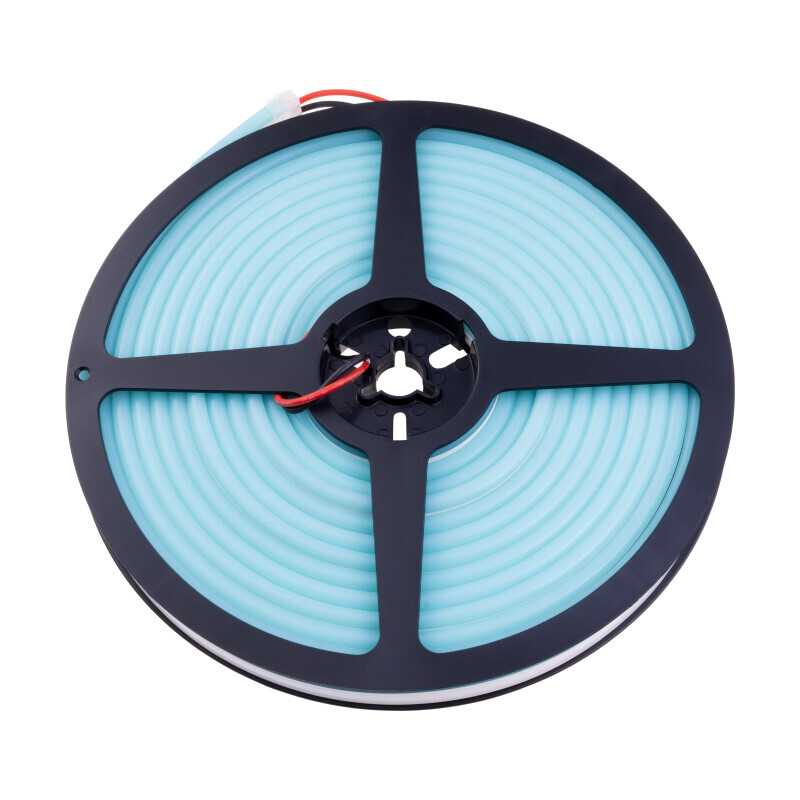 LED NEON 12NEON10