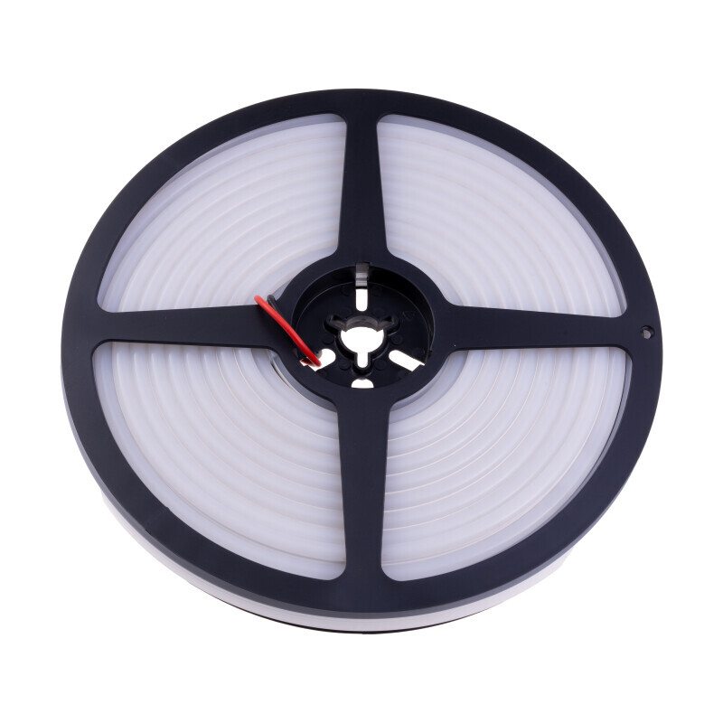 LED NEON 12NEON10