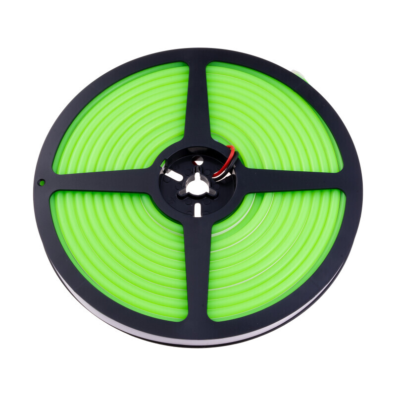 LED NEON 12NEON10