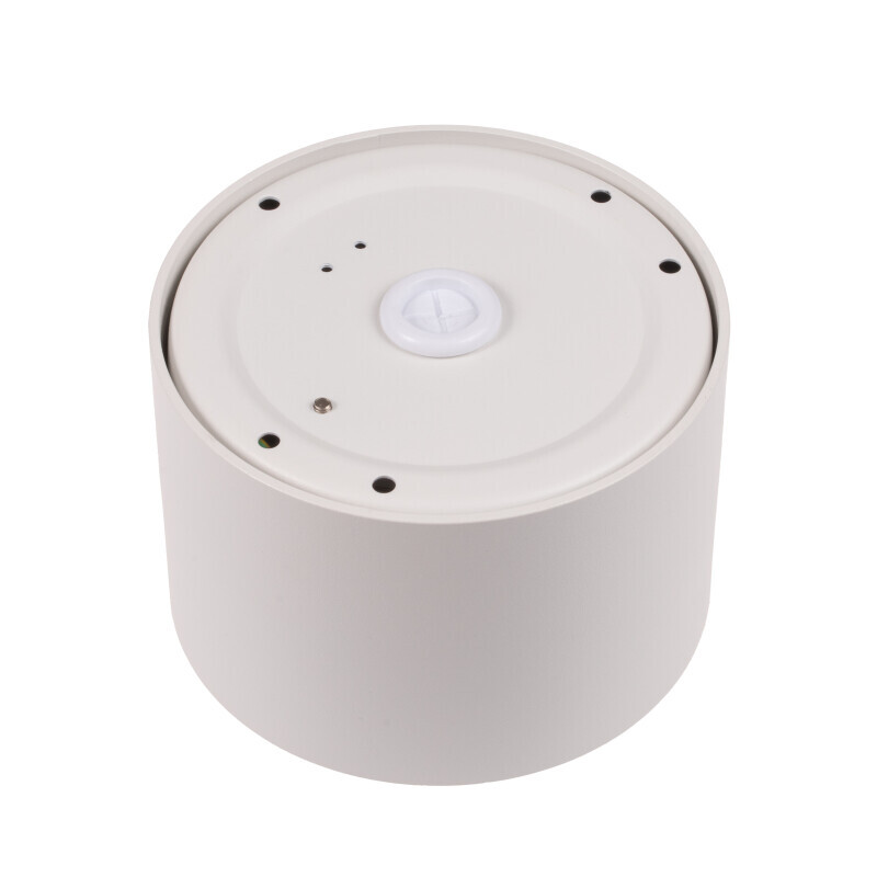 LED svítidlo ALEXO 12W CCT kulaté bílé stropní