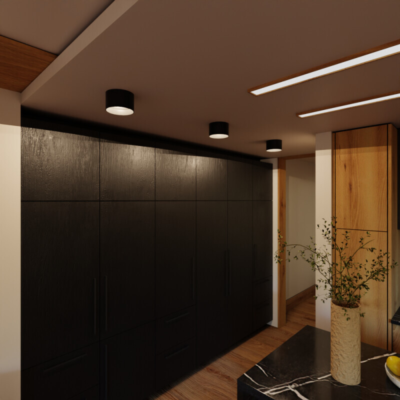 LED svítidlo ALEXO 12W CCT kulaté černé stropní