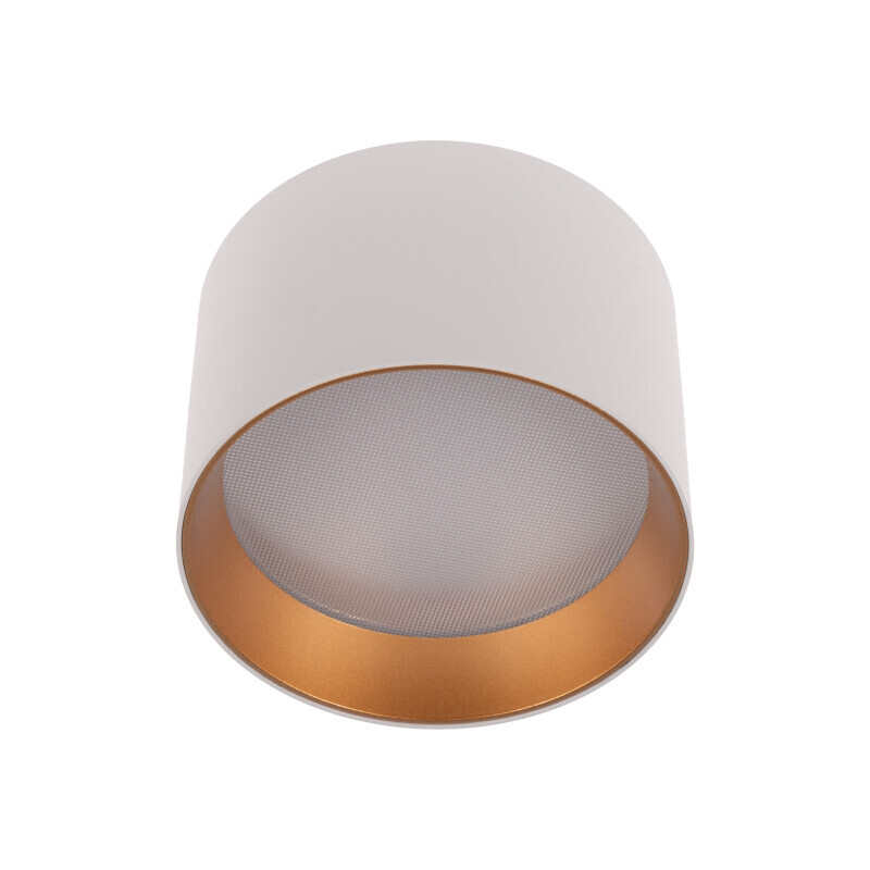LED svítidlo ALEXO 12W CCT kulaté bílé stropní