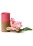 Ponio Pink přírodní deodorant soda free 60 g