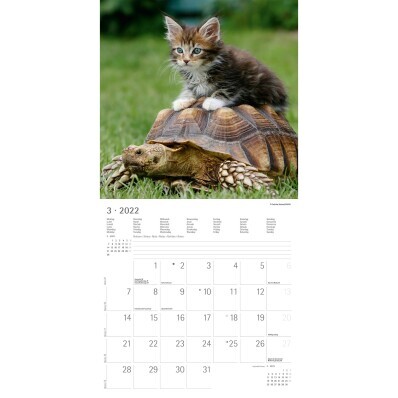 Kalendár zvierací priatelia