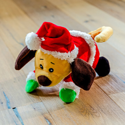 Vianočný pes Ronny