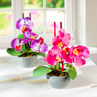 2 aranžmány "Orchidea v kvetináči"