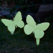 Fluorescencyjne motyle