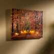 LED obraz "Podzimní les"