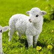 Fekvő húsvéti bárányka Göndör