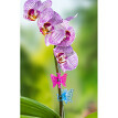 6 Clipsuri pentru plante ”Fluture”