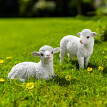 Fekvő húsvéti bárányka Göndör
