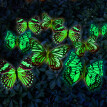 18 db anyagában világító pillangós dísz