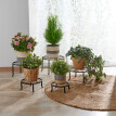 5 květinových stoliček na rostliny