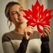 LED Maple Leaf lógó dekoráció, 3 darabos készlet