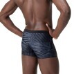 Koupací boxerky Valmilton Aquashort Speedo®