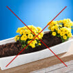 4 Cleme pentru jardiniere