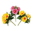3 buchete de Hibiscus