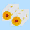 20 mucholapek Gerbera