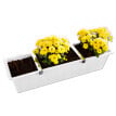 4 Cleme pentru jardiniere
