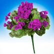 Un buchet de muscate