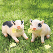 Piglet Polly