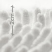 Mata łazienkowa