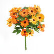 Kytice gazanií