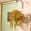 Umělé převislé květiny