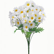 Buchet de margarete