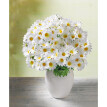 Buchet de margarete