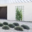 Podpera pre rastliny FLOO SUPPORTS 6x 60 cm