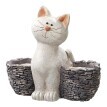 Duo de pisici Flowerpot
