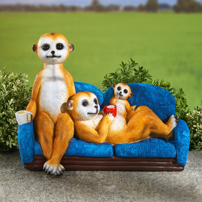 Familie de suricate pe canapea