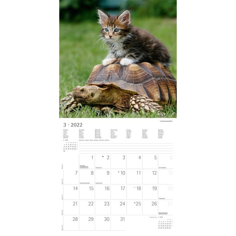    Kalendář zvířecí přátelé