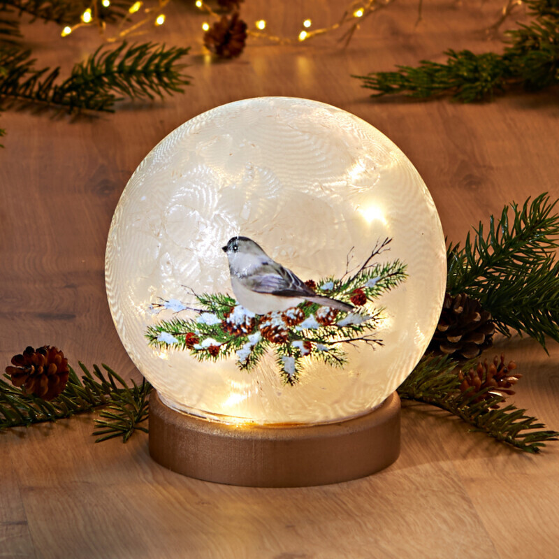 LED skleněná koule "Zimní pták"