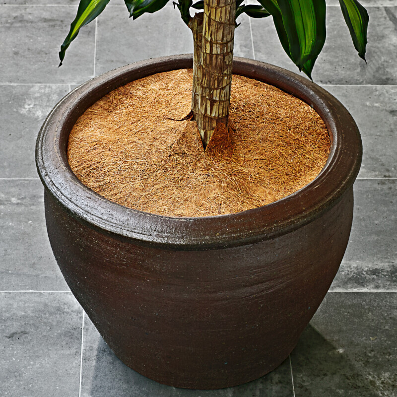 Covor de nucă de cocos pentru protecția plantelor