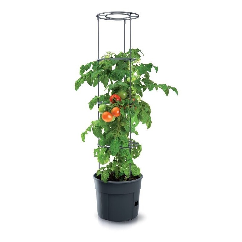 Kvetináč na pestovanie paradajok 29,5 cm
