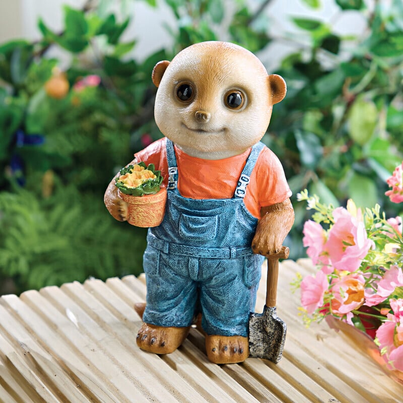 Surikata Gardener Lutz