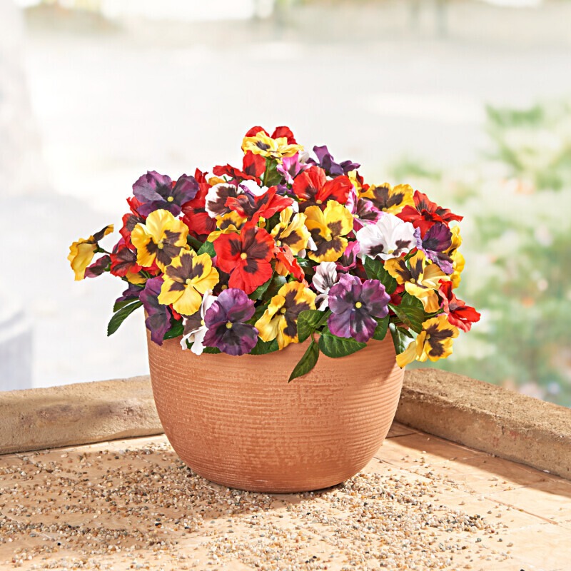 3 kytice do kvetináča Macešky