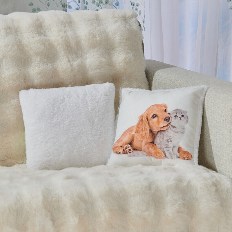 Perna Câine + pisică