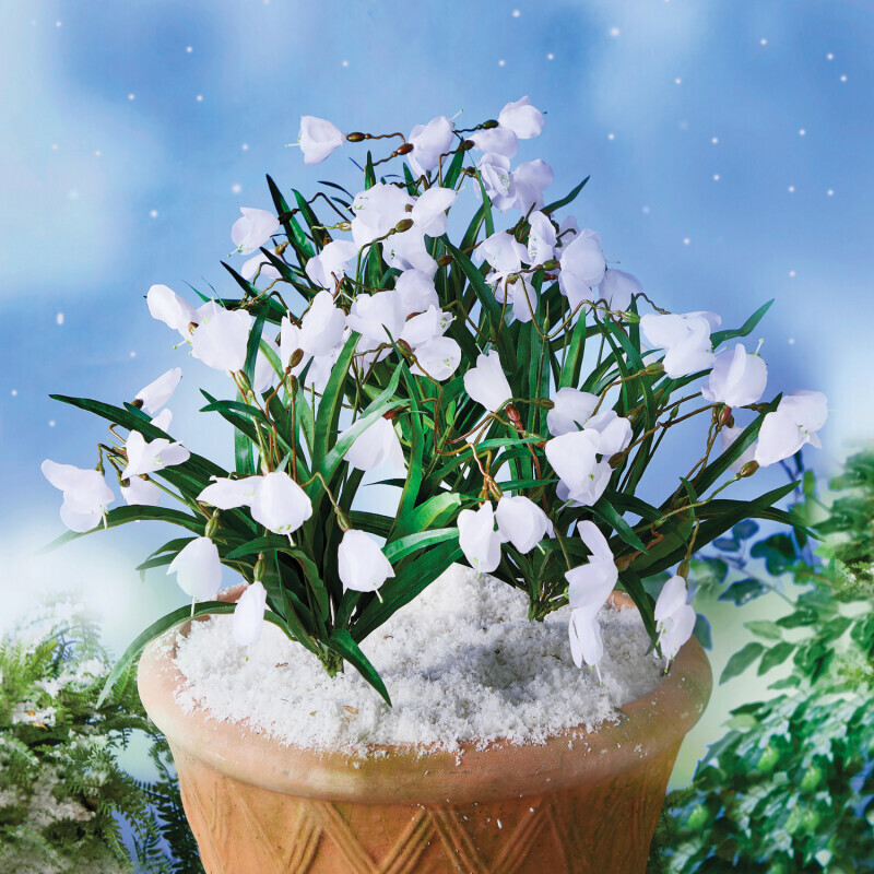 3 hóvirágcsokor