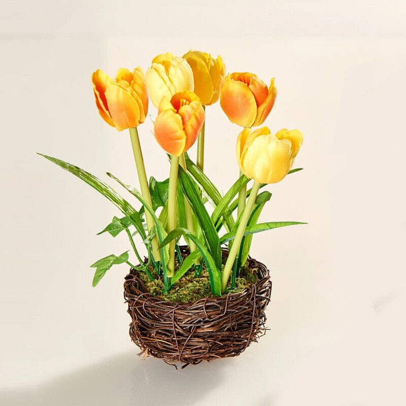 Tulipánové hnízdo Eldo