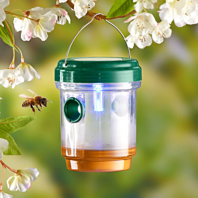 Capcană solară pentru viespi