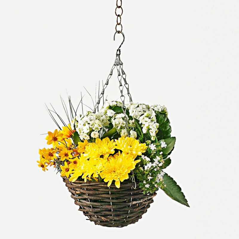 Ghiveci suspendat pentru plante