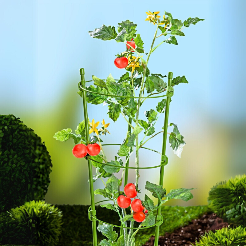 6-częściowa podpora do roślin