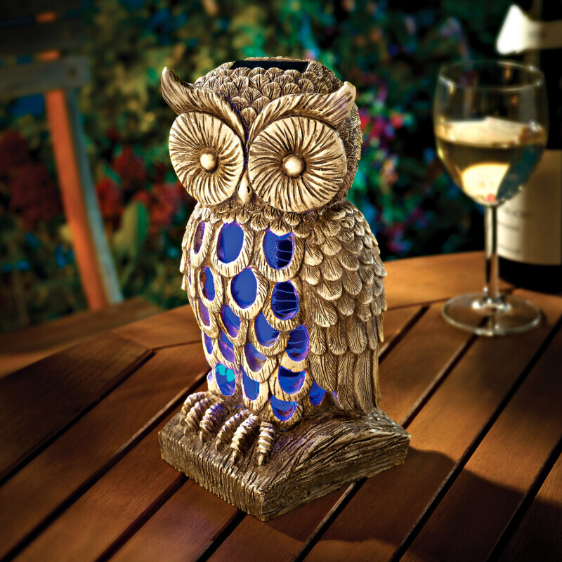 Sowa zabójcza owadów