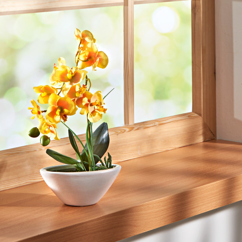 Orchidej 