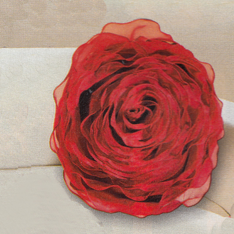 Povlak na polštář Růže