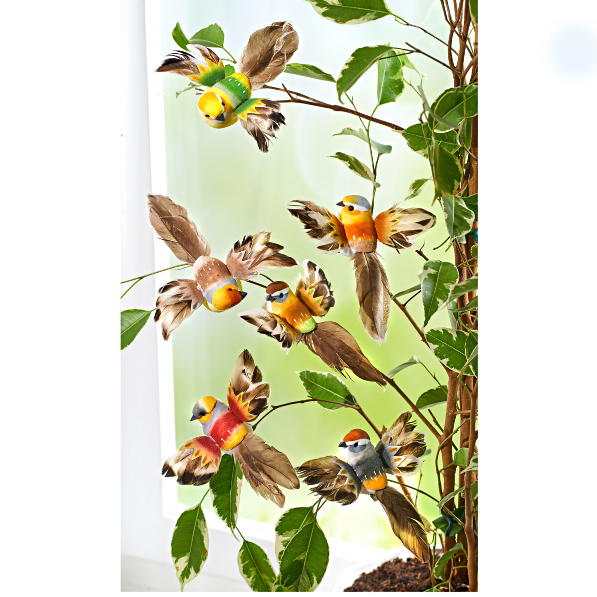 Levně 6 dekorativních ptáčků